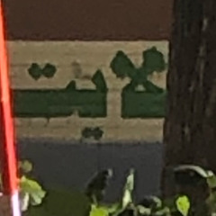 PESSIMISTIC0_ We do not have a microphone