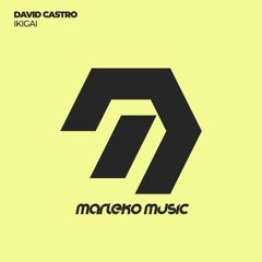 David Castro - Ikigai