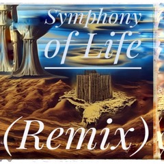 Symphony of Life (Remix)