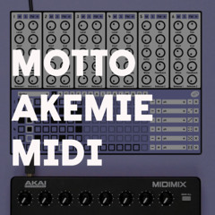 MOTTO AKEMIE MIDI