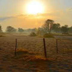 Áchim György - One momrning!