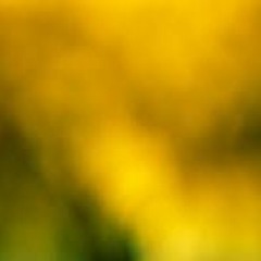 Fire G#m 92BPM (VENDIDO)