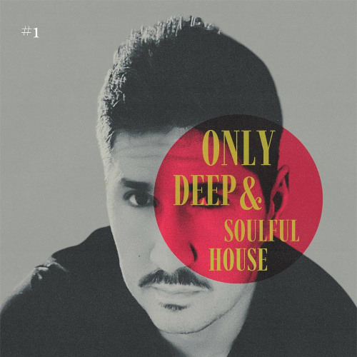 #1 ONLY Deep&Soulful House | David Oniani mix (13.04.25)