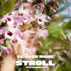 Stroll Instrumental
