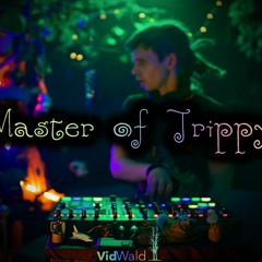 Master.of.Trippy @ ForestBase Livestream session