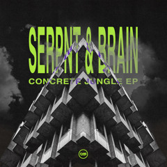 Serpnt & Brain - Fungus [Dispatch Recordings]