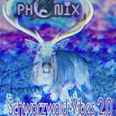 Schwarzwald Vibes 2.0