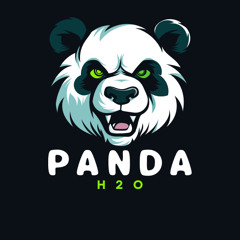 H2O - Panda (Original Mix)