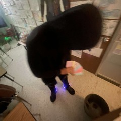 4xlowkey - i dont miss [4E + 308 + Percaktivist EXCLUSIVE]