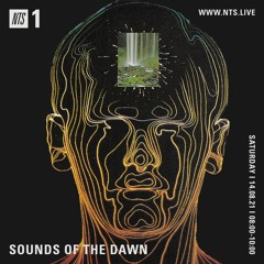 Sounds Of The Dawn 140821