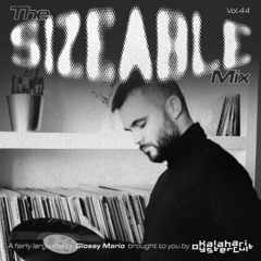 The Sizeable Mix Vol. 44: Glossy Mario