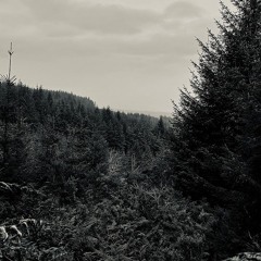 Anois, Os Ard w/ Eoin Murray 240925