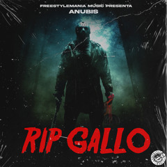 Rip Gallo