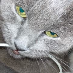 한국의 2025년도 시급은 10,030원