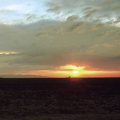 Serap Sönmez - Delal