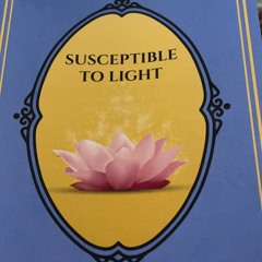 Read The Fine Print by Chelan Harkin