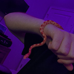 cant escape my head (tell me why)