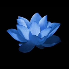 jere - damn dough (prod. Jere)