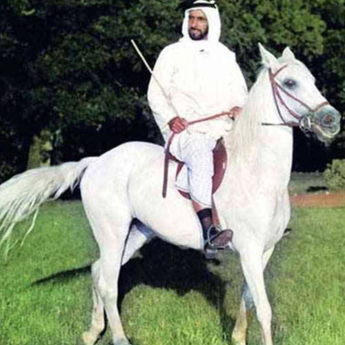يا فريد الملامح - عبيد بن صويلح
