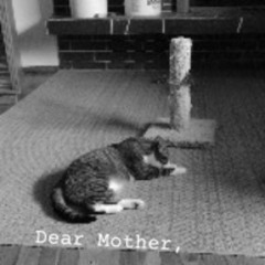 Dear Mother,