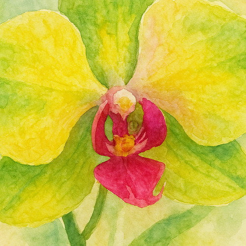 ˜”*°✧.  𝓈𝓅𝒶𝓇𝓀𝓁𝑒  .✧°*”˜