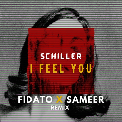 Schiller - I Feel You (Fidato X Sameer Remix)