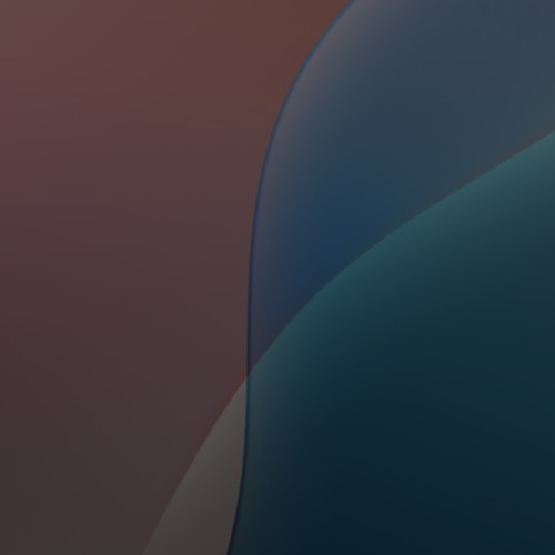 Mr Disciple Broski’s