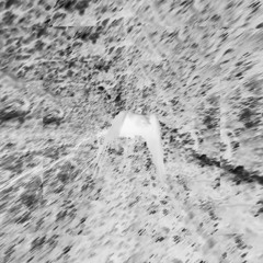 bones (prod me)