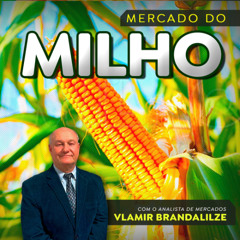 Exportações de milho podem chegar a 40 milhões de toneladas em meio à crescente demanda