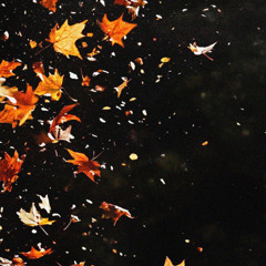 november lullaby (sleepy autumn lofi)