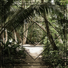 Paradiso
