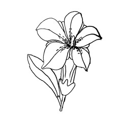 Appreciate Day Set A