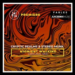 DHI PREMIERE- STEREO MUNK & Cryptic Realms - Midnight Walking (Original Mix) [ Juicebox Music]