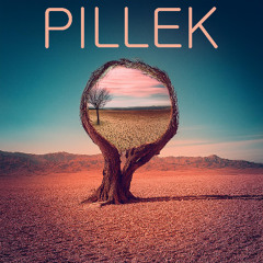 Pillek - Shadows In Motion
