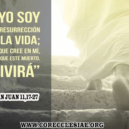 evangelio según san juan 11 19 27