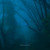 Artwork for sleep in your arms
