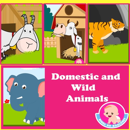 Stream Wild Animals Homes & Sounds by Bindi's Music & Rhymes | Listen  online for free on SoundCloud