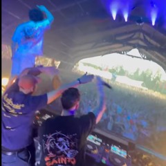 DEFQON.1 2025 BLUE THE PURGE & THE SAINTS