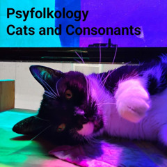 Cats and Consonants ft. Hannah Shirey