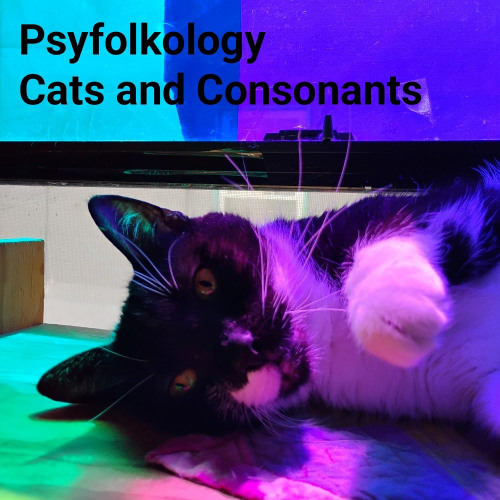 Cats and Consonants ft. Hannah Shirey