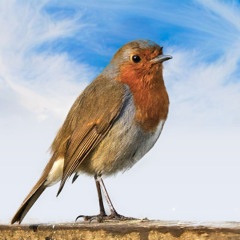 Repost: What is the meaning of death