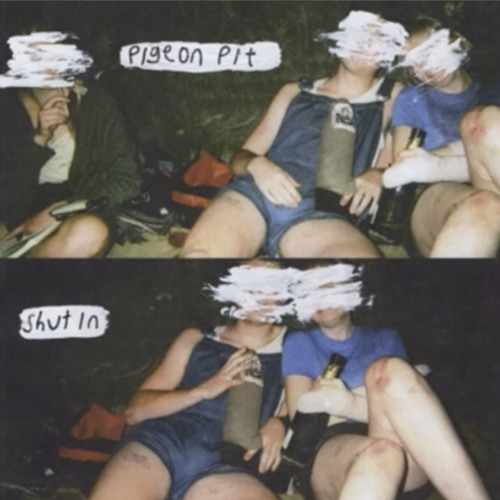 pigeon pit - d.i.y.