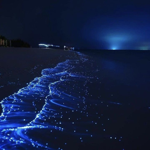 Stream ˗ˏˋ ♡ ˎˊ˗ Listen to Pov ur lowkey in love.... playlist online