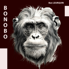 Bonobo - Ben LEURQUIN