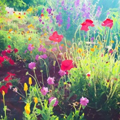 From The Garden Into The Field