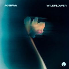 Joshwa - Wildlfower