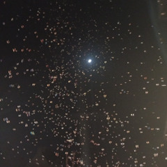 2025 - Mind elevation