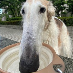 (dj slurrr) fukken up the south !!