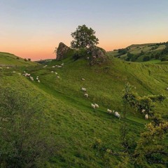 шепот времени