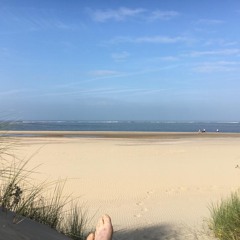 Tpitcher82_Vinyl Only 08.10.2021.